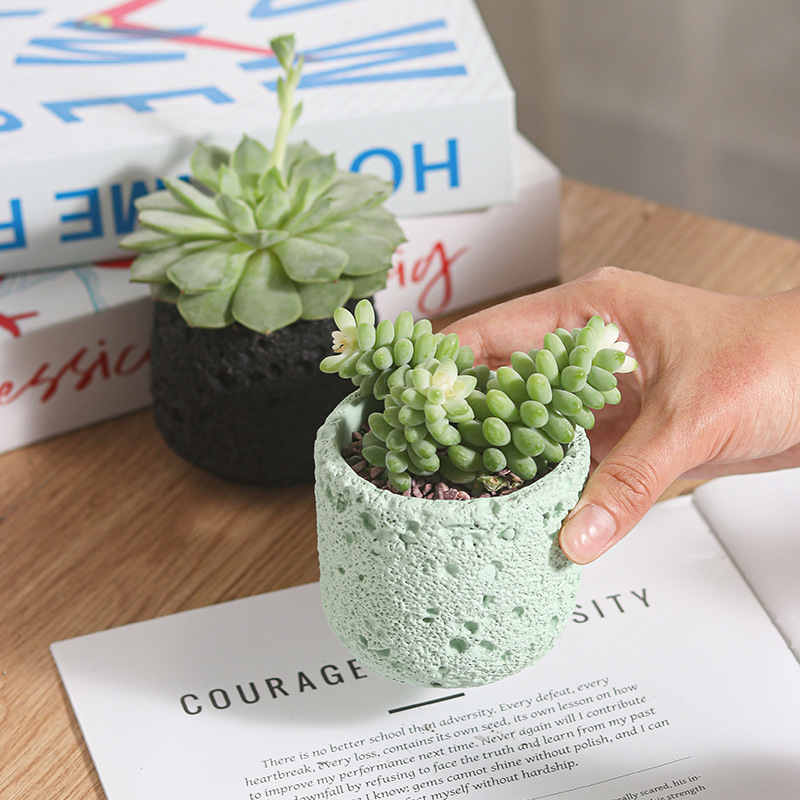 Creative Round Concrete Flower - đánh giá và giá Potsticker Mold